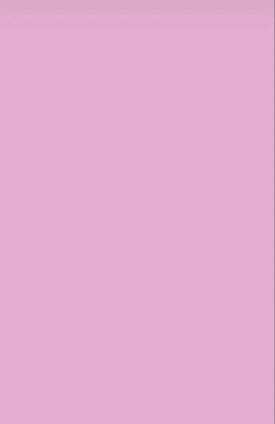Birch Top Solids