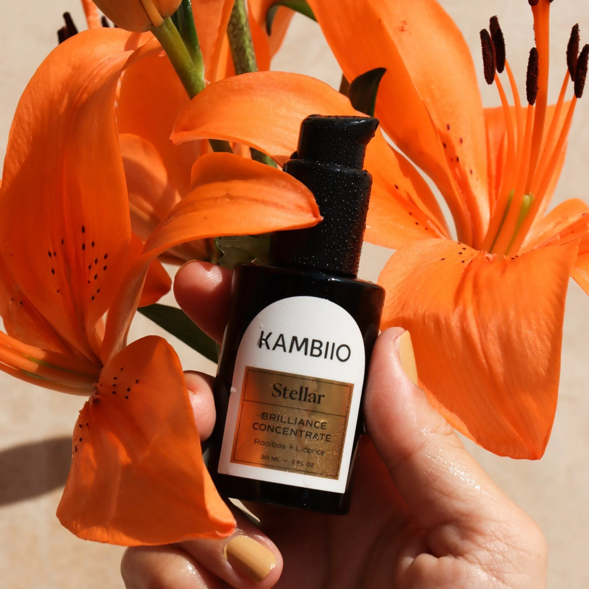 Stellar Brilliance Concentrate